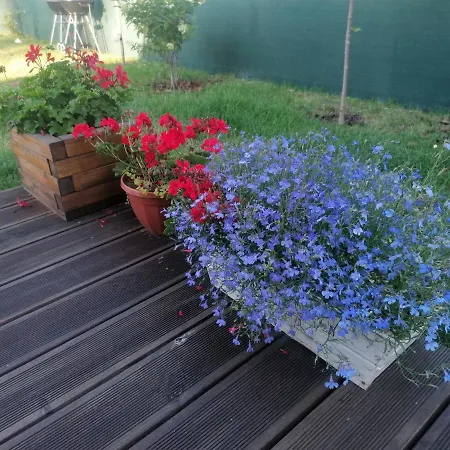 Prázdninový dům Osada Natura Sliwin