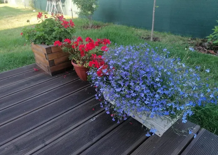 Prázdninový dům Osada Natura Sliwin